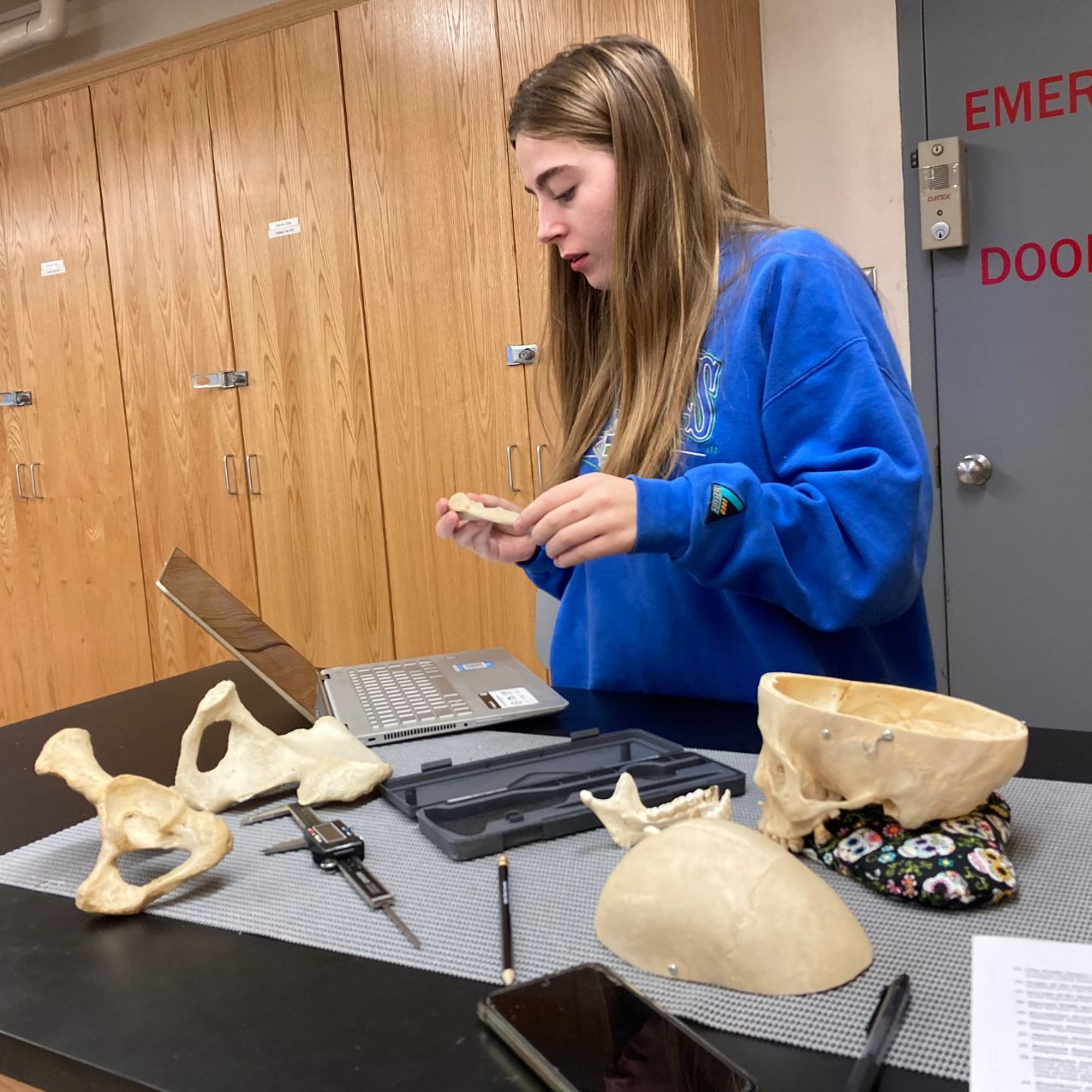 A student works in the anthropology lab. Standing at a lab table with bones and a laptop, she looks at a bone.