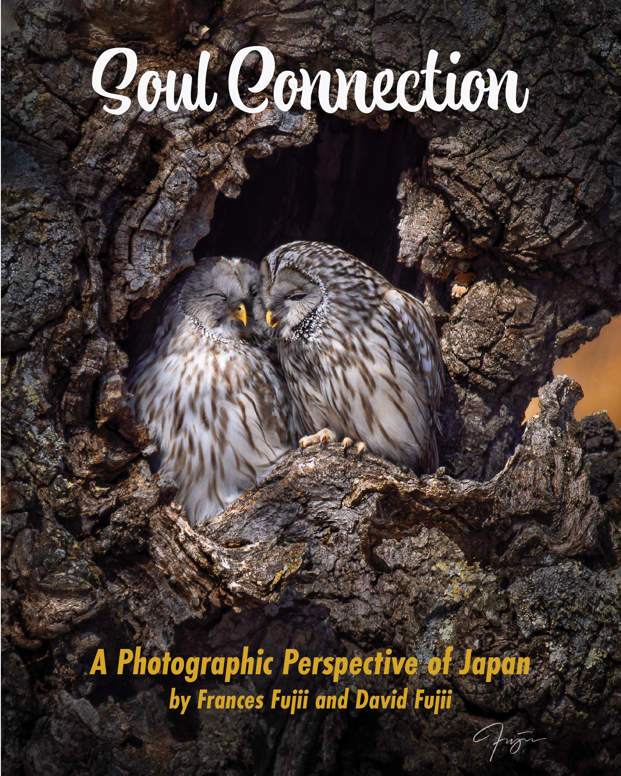 Soul Connections, a photographic perspective of Japan by Frances and Dave Fujii. Two ural owls in a tree