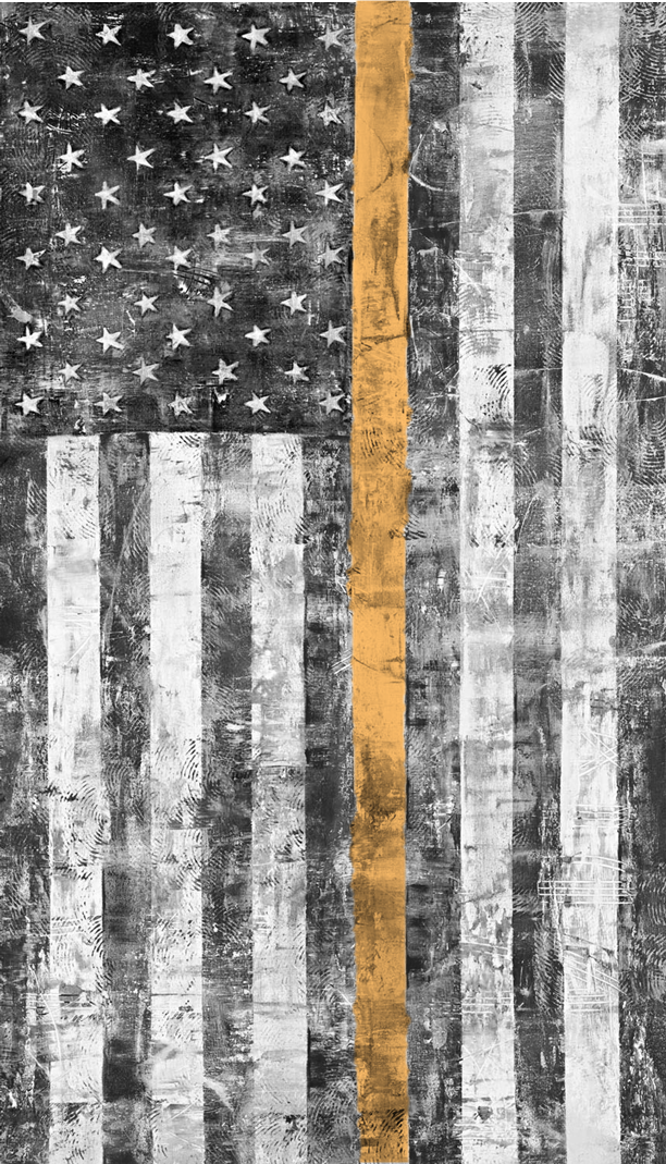Black and white photo of hanging US flag with one orange stripe