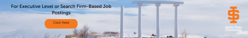 Executive Search Career Site Banner