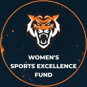 The Women's Sports Excellence Fund