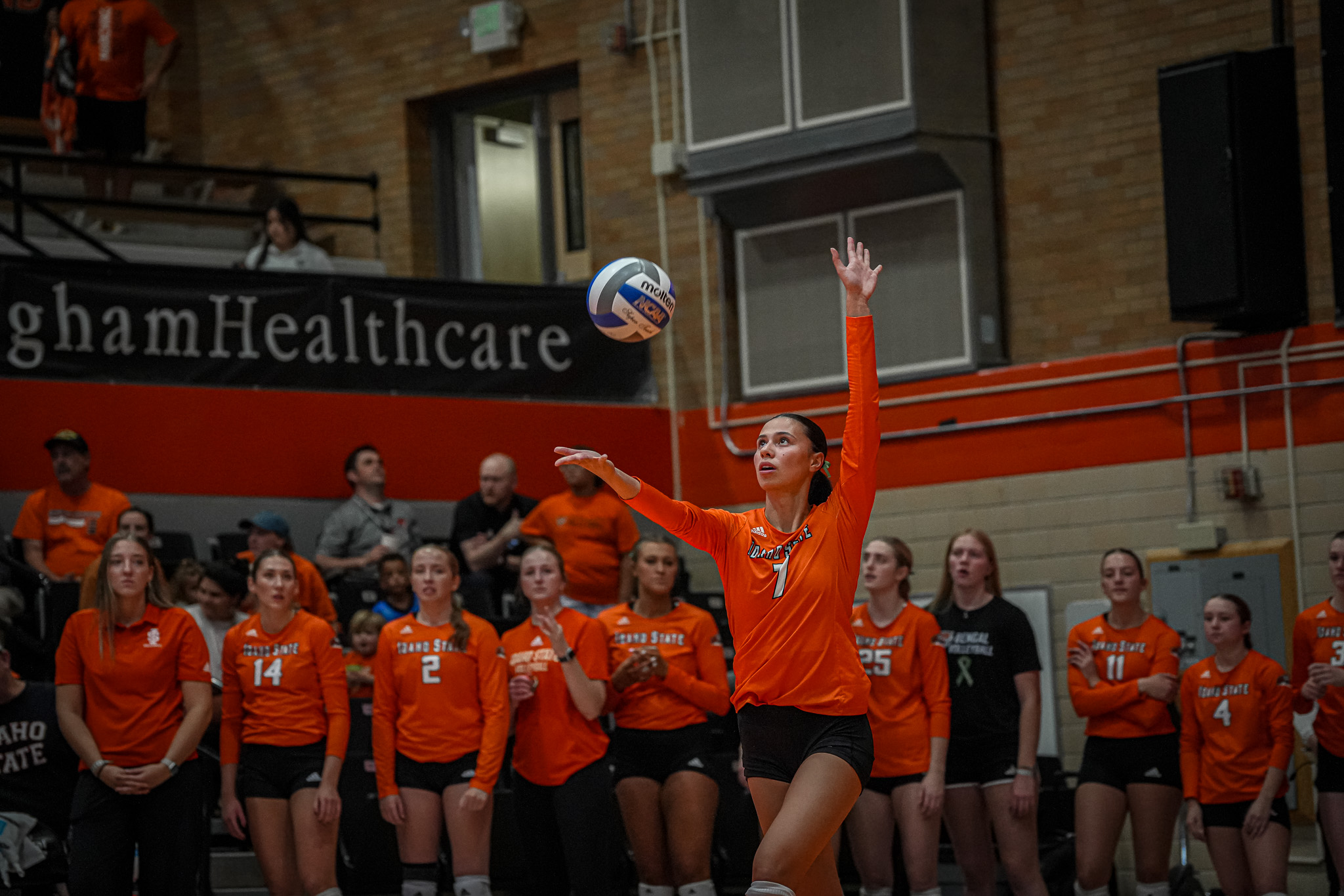 Female volleyball players serving the ball