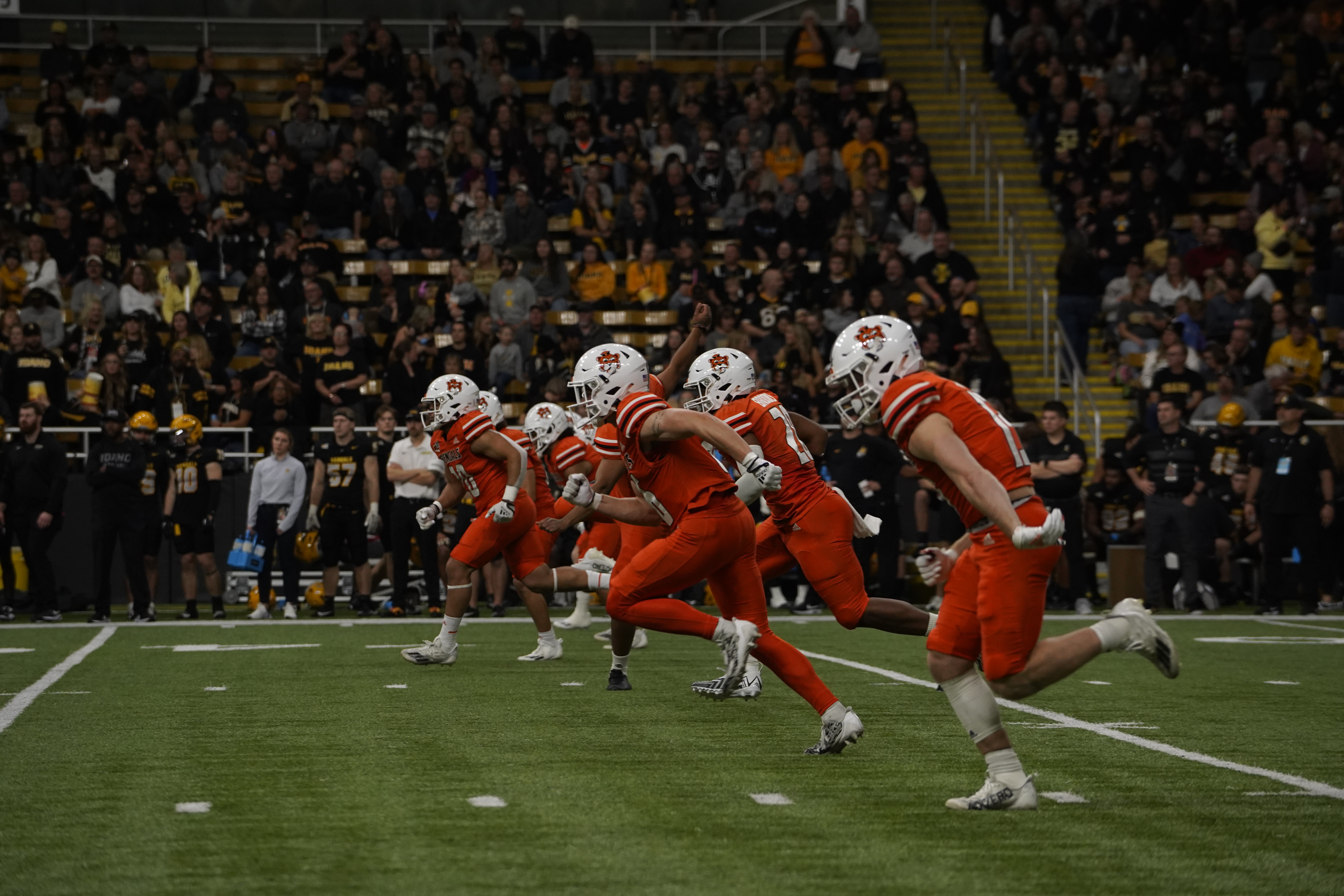 Quarterback and team playing football