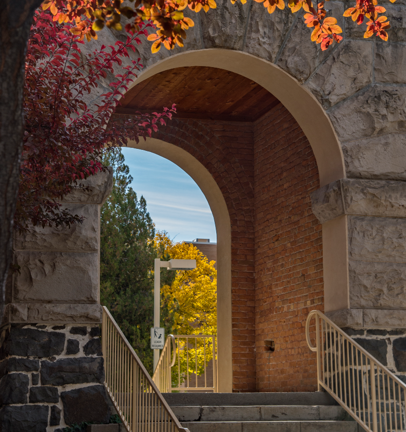Swansons Arch in the fall