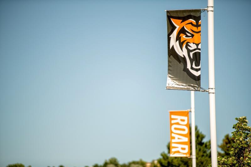 Street light poles with bengal head and roar banners