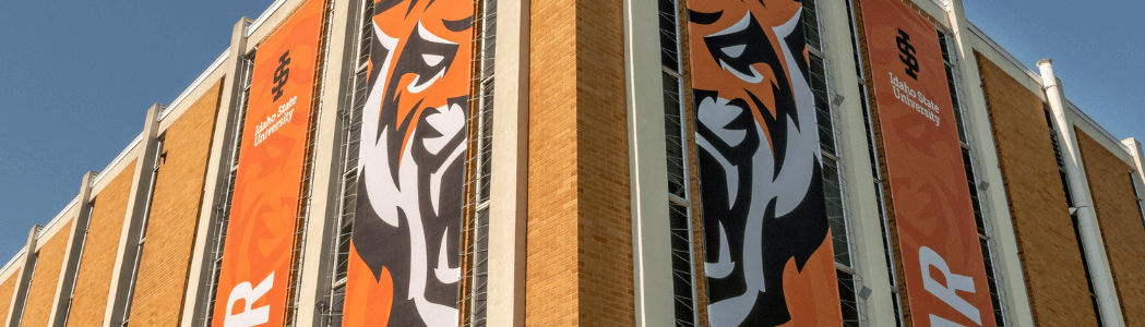 Banners on corner of Fine Arts building