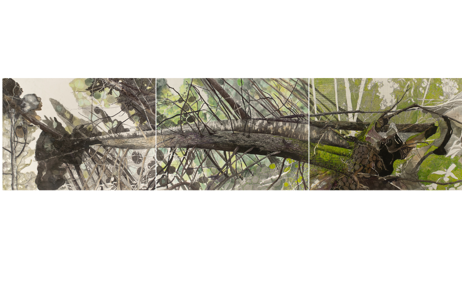 a panel of three fallen trees