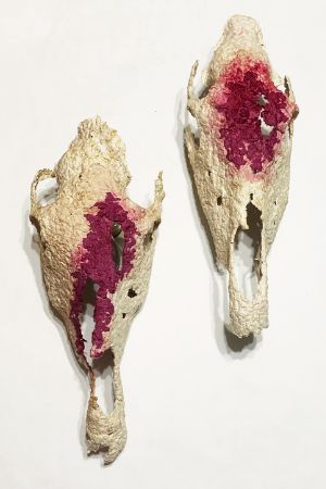 Two animal skulls are next to each other, birds eye view. The tops of the skulls have red paint that looks like blood.