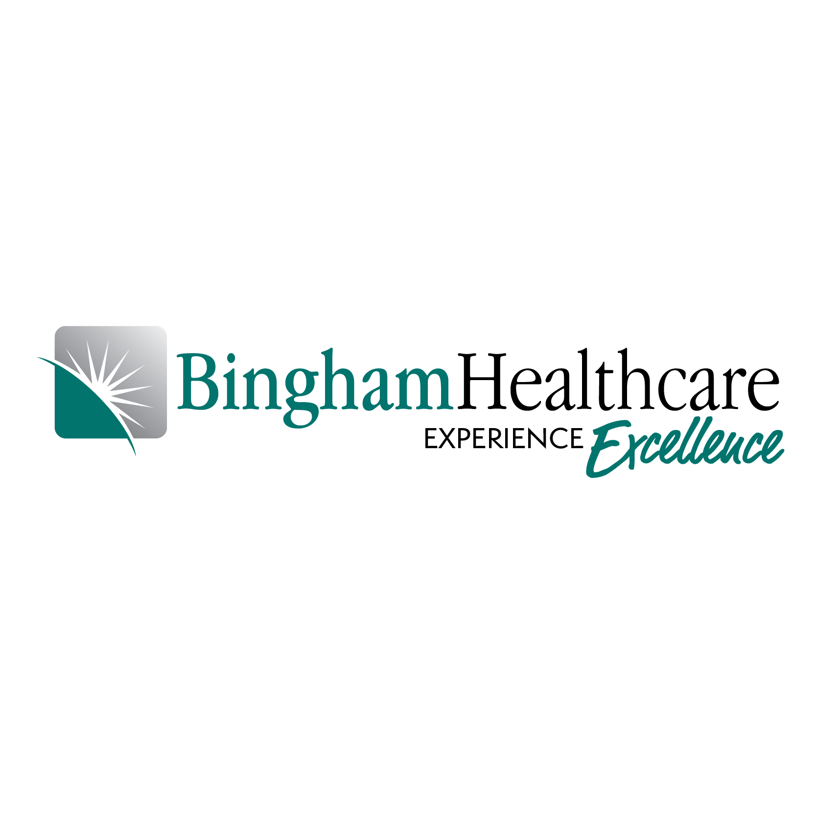 Bingham Healthcare Logo