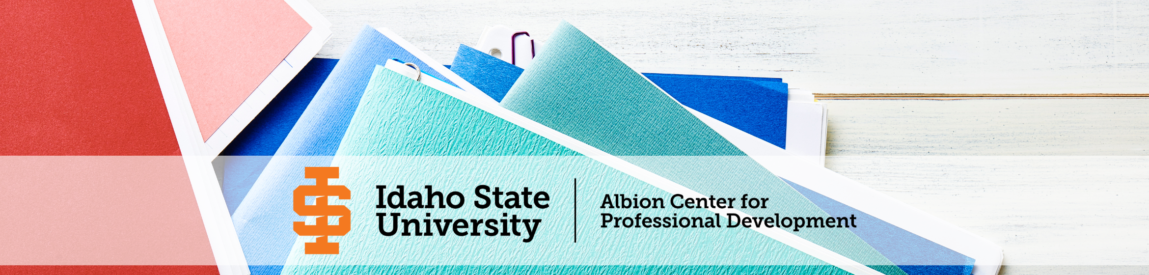 K-12 professional development for teachers, The Albion Center for Professional Development