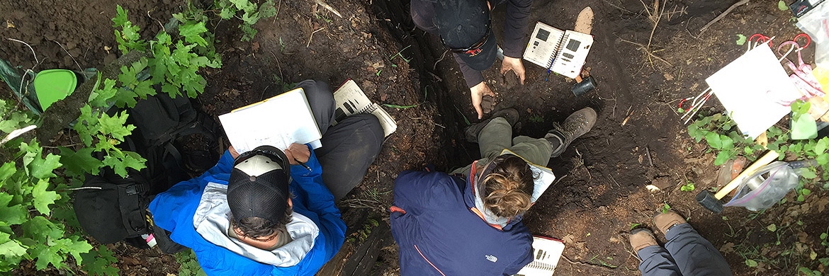 Students studying soil