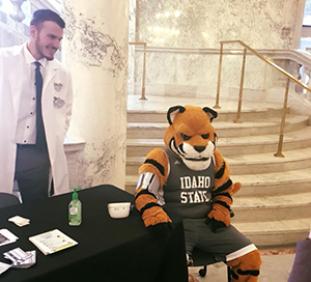 Benny the Bengal getting blood pressure checked by student pharmacist during ISU Day at the Capitol 2018