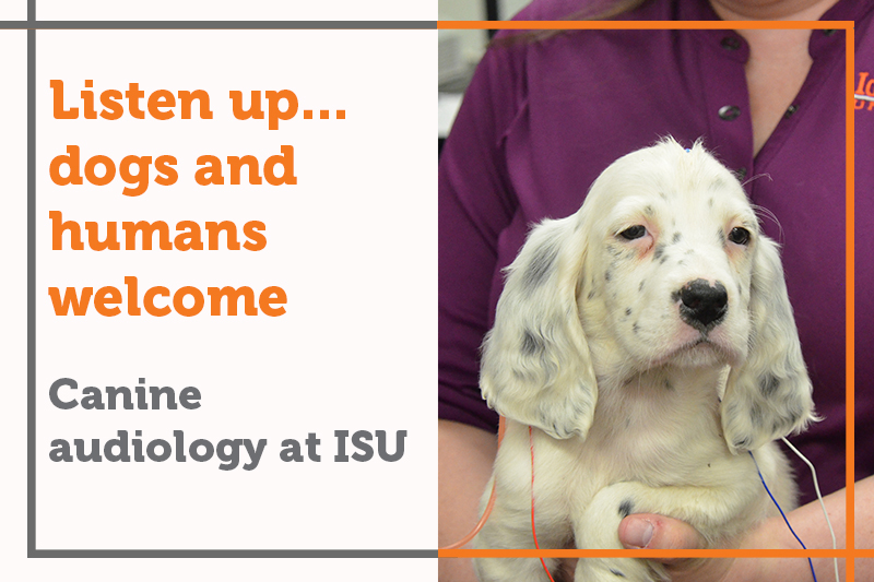 Listen up... dogs and humans welcome at Idaho State Audiology Clinic