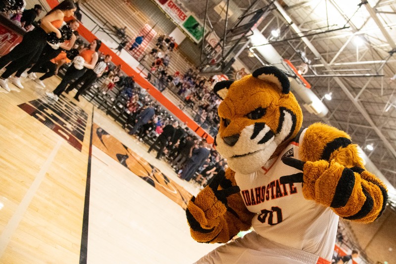 ISU mascot Benny the Bengal at basketball game