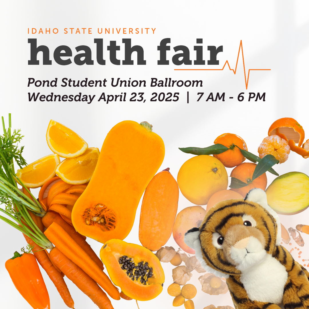 Health Fair - fruits and veggies, stuffed small tiger toy