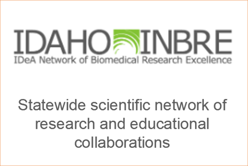 Logo for Idaho research collaborative, called INBRE