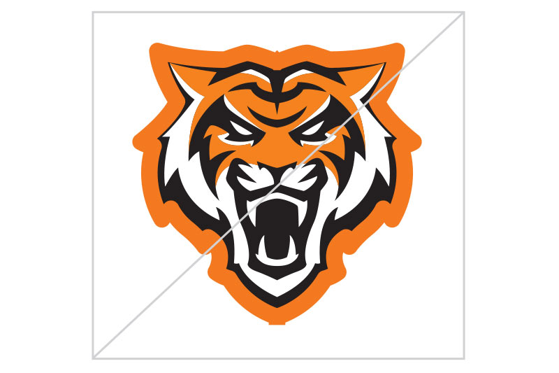 Do not add extra strokes or outlines to the logo, Bengal head