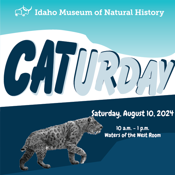 Idaho Museum of Natural History presents CATurday, Saturday August 10, 2024 from 10 a.m. to 1 p.m.