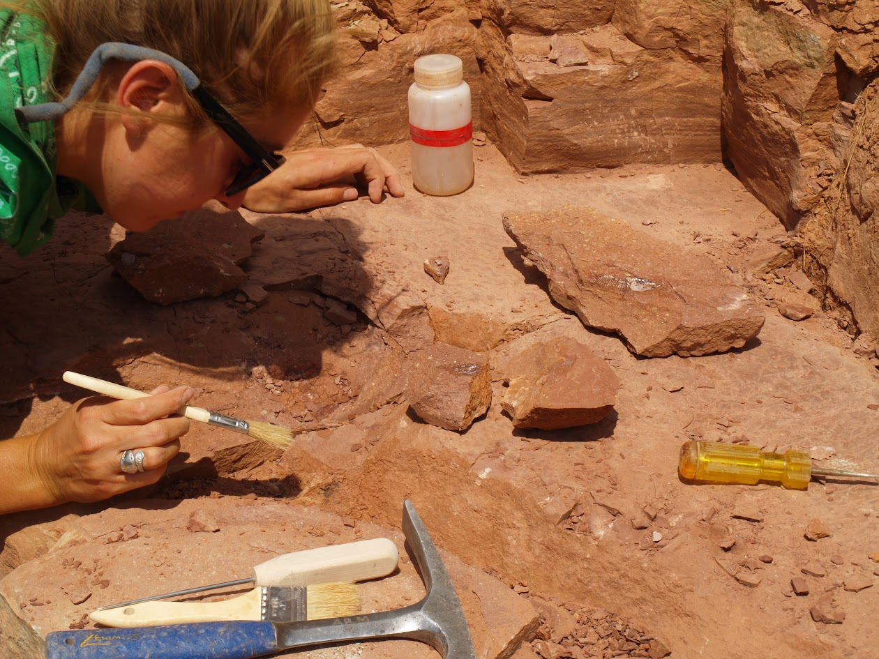 A women leaning in to clear soil from a dinosaur bone