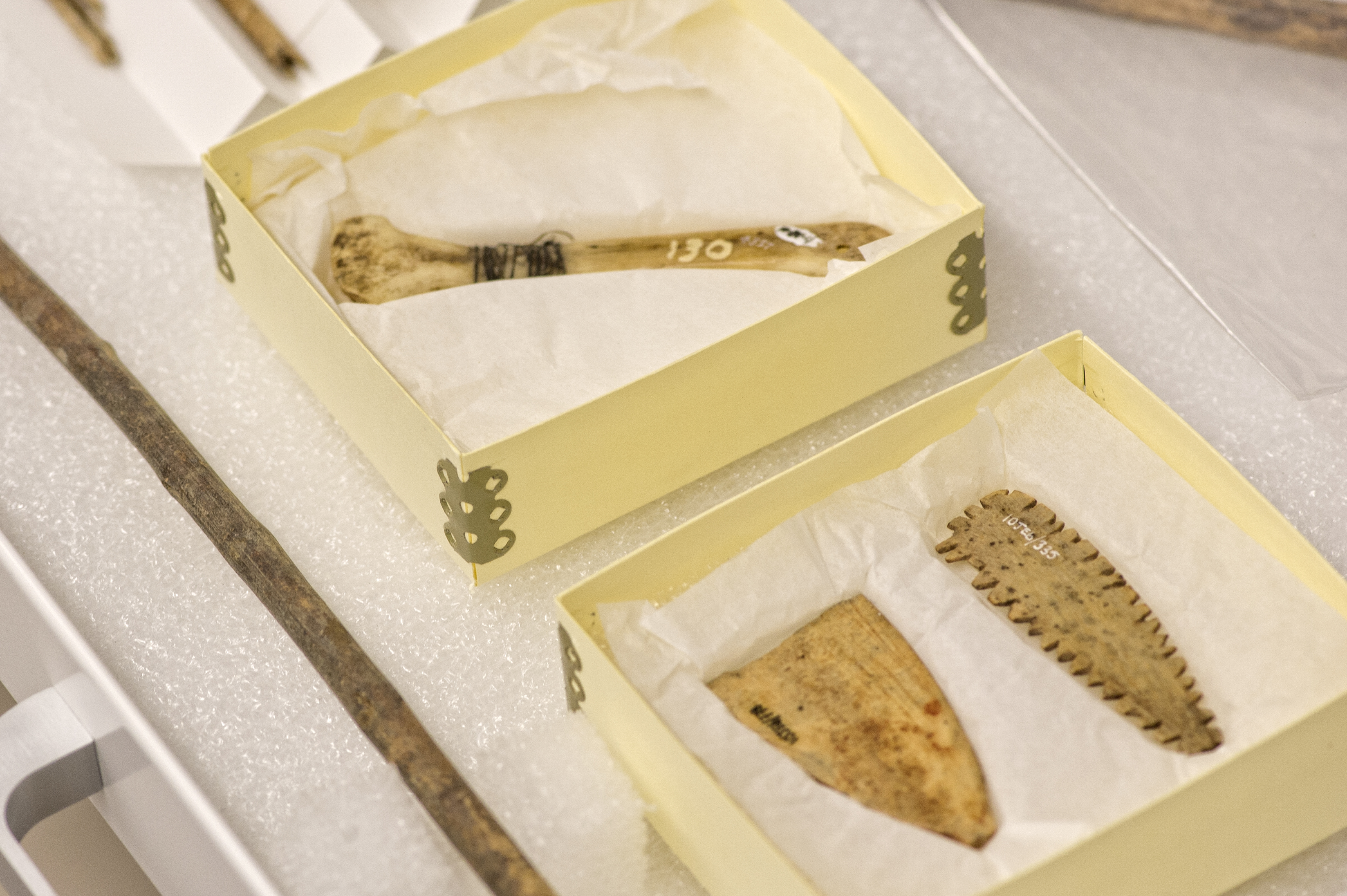 Modified bone in archaeology collection