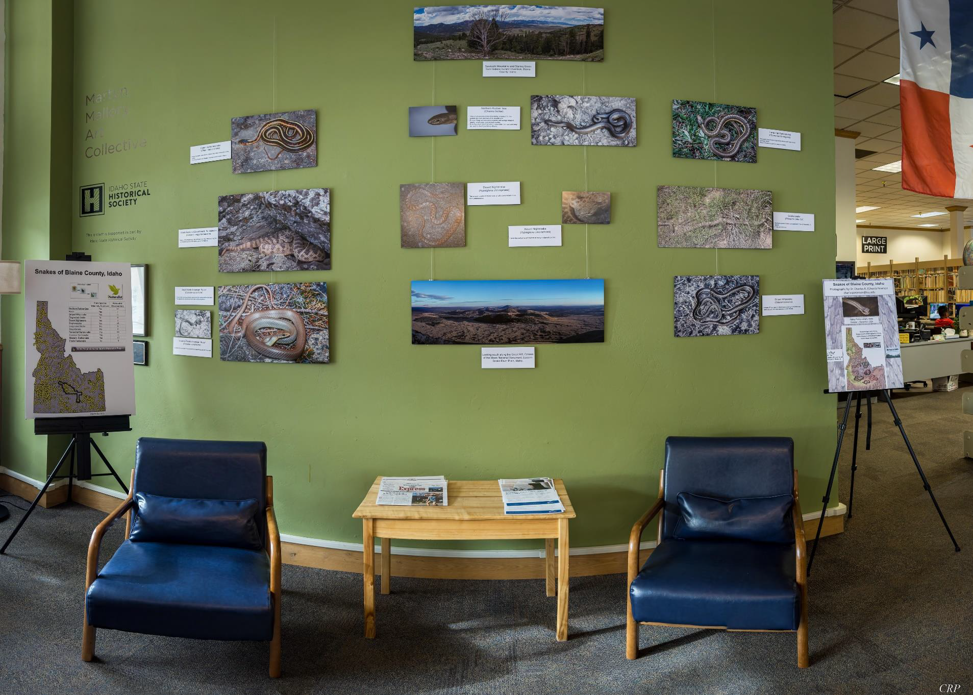 Images of snake photos on a library wall