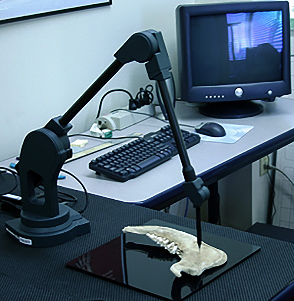 A Microscribe in the Idaho Virtualization Lab scans a jawbone