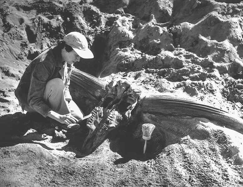 Marie Hopkins, Idaho's first female paleontologist, examines a fossil