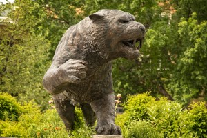 Bengal statue outside student union building