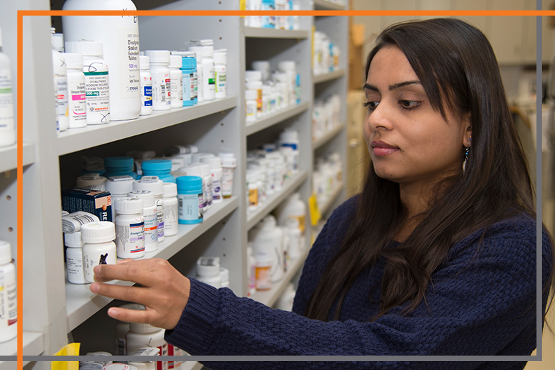Pharmacy faculty member Anushka Burde fills a prescription at Bengal Pharmacy