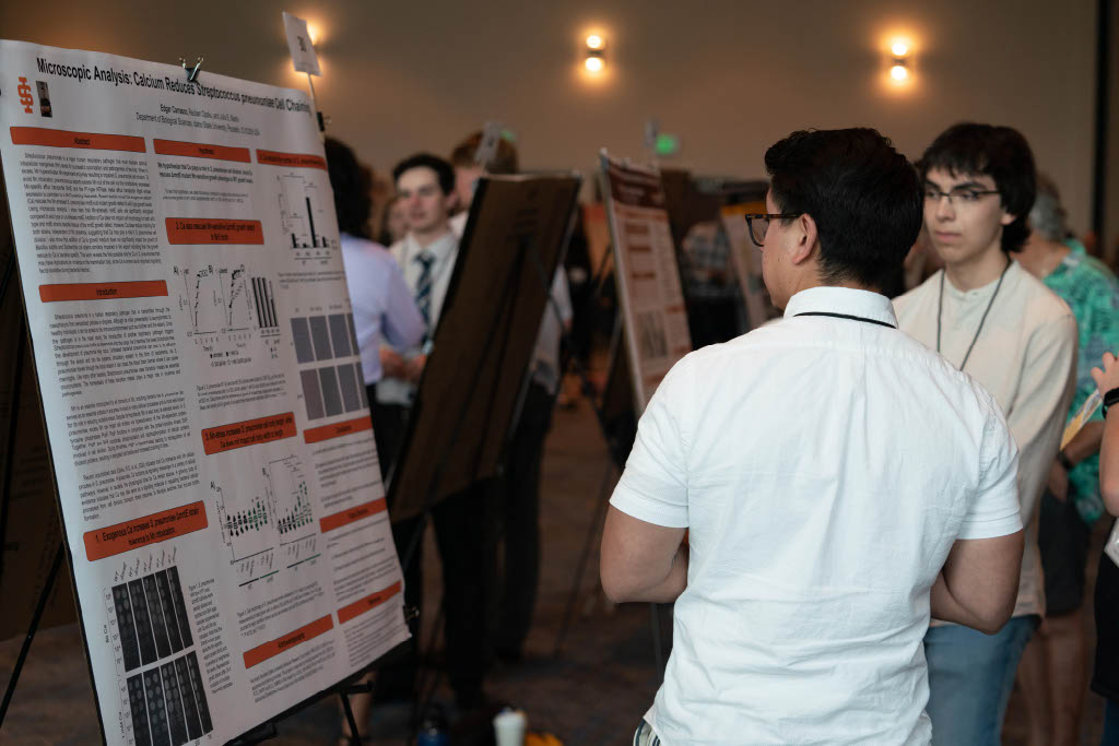 Picture of people presenting research posters at the 2024 ICUR session in Boise