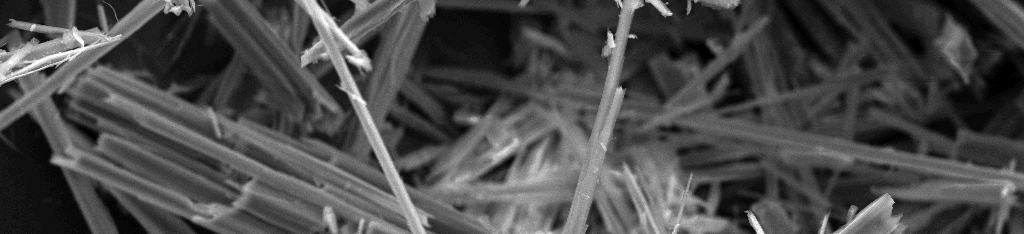 Microscopic Asbestos 