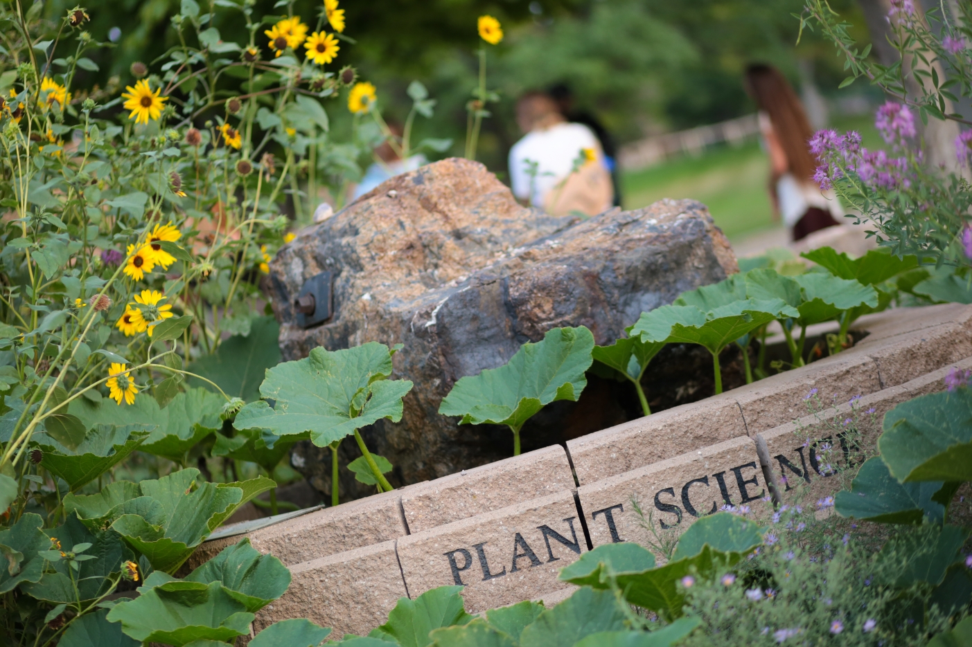 The Plant Science Building rock surrounded by plants