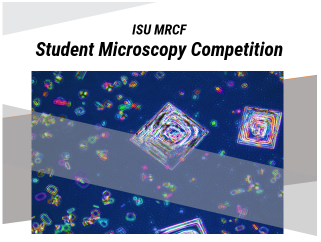 Student Microscopy Competition