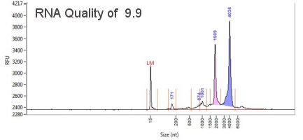 RNA quality from Fragment Analyzer Trace