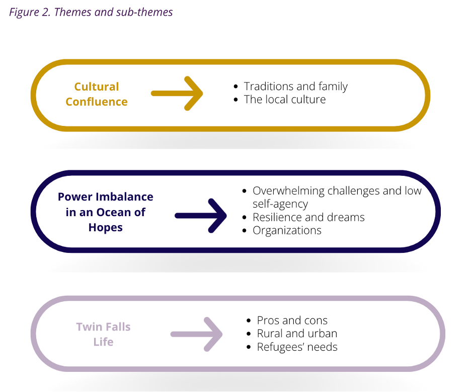 Graphic of themes and sub-themes found for the report.