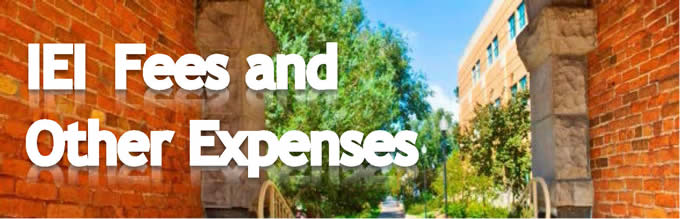 IEI Fees and Other Expenses