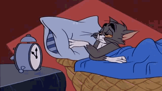 Tom and Jerry Sleeping Cartoon GIF