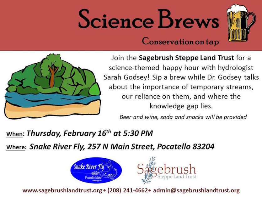 Science Brew poster