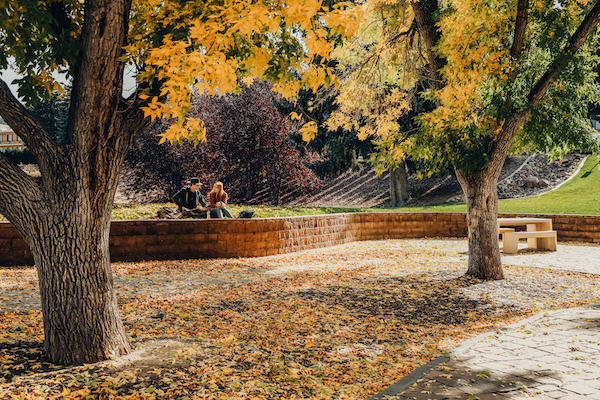 Two students sit under a tree on a fall day.