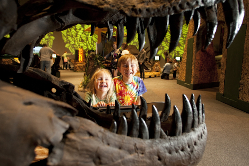 Two kids peering at a ty-rex dinosaur skull