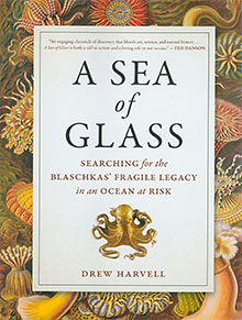 Sea of glass book cover