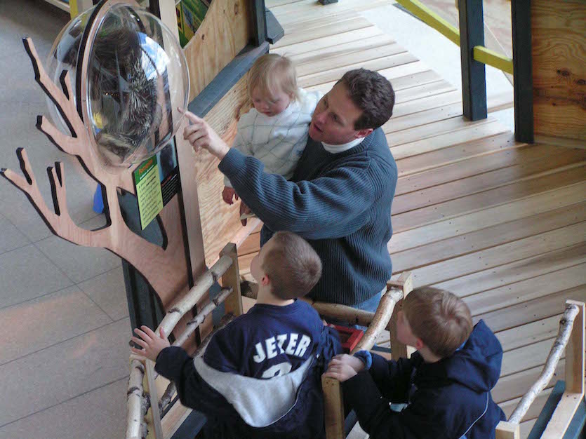 Family viewing Tree Houses exhibit