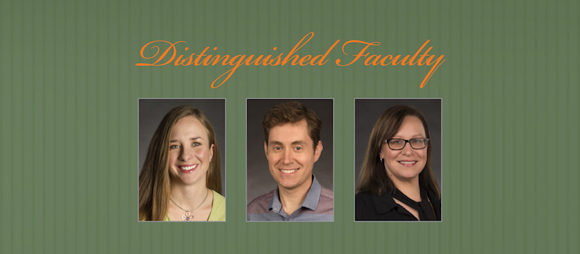 Distinguished Faculty poster