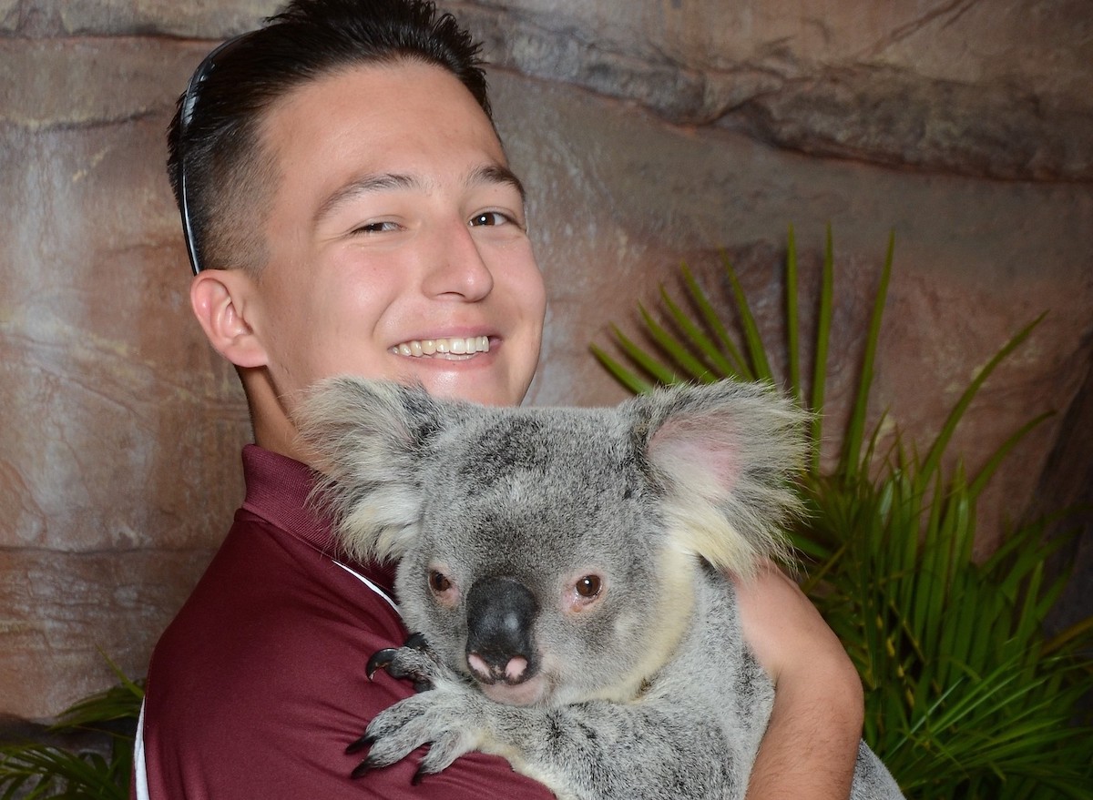 Jett Hawk with koala bear. 