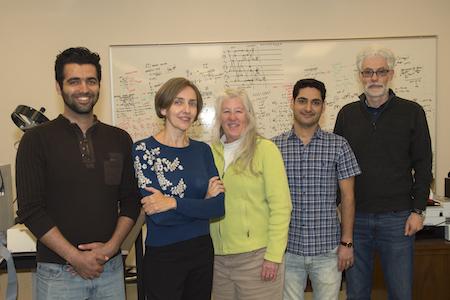Photo of five researchers involved with the project. 