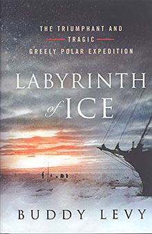 Labyrinth of Ice book cover