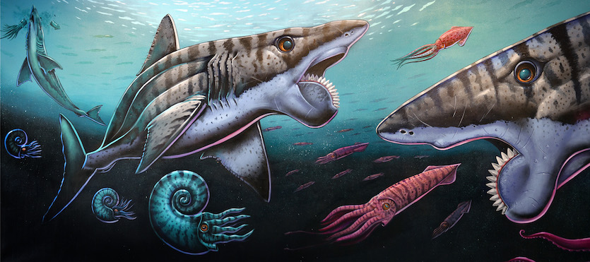 Image from museum display of buzzsaw sharks of Idaho featuring painting of sharks and other sea creatures.