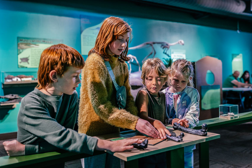 Children enjoy one of the Museum’s most popular events, the Fall Fossil Fest.