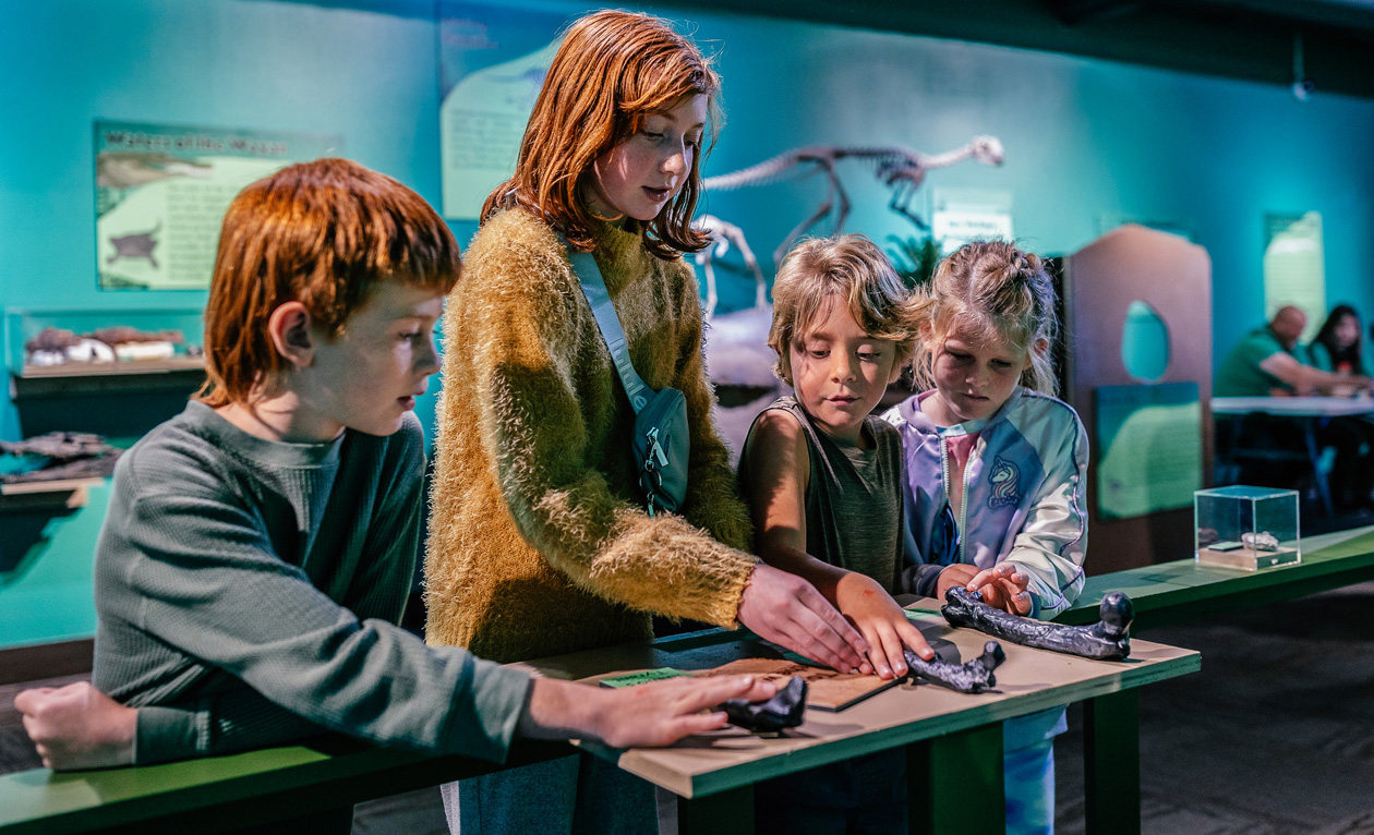 Children enjoy one of the Museum’s most popular events, the Fall Fossil Fest.