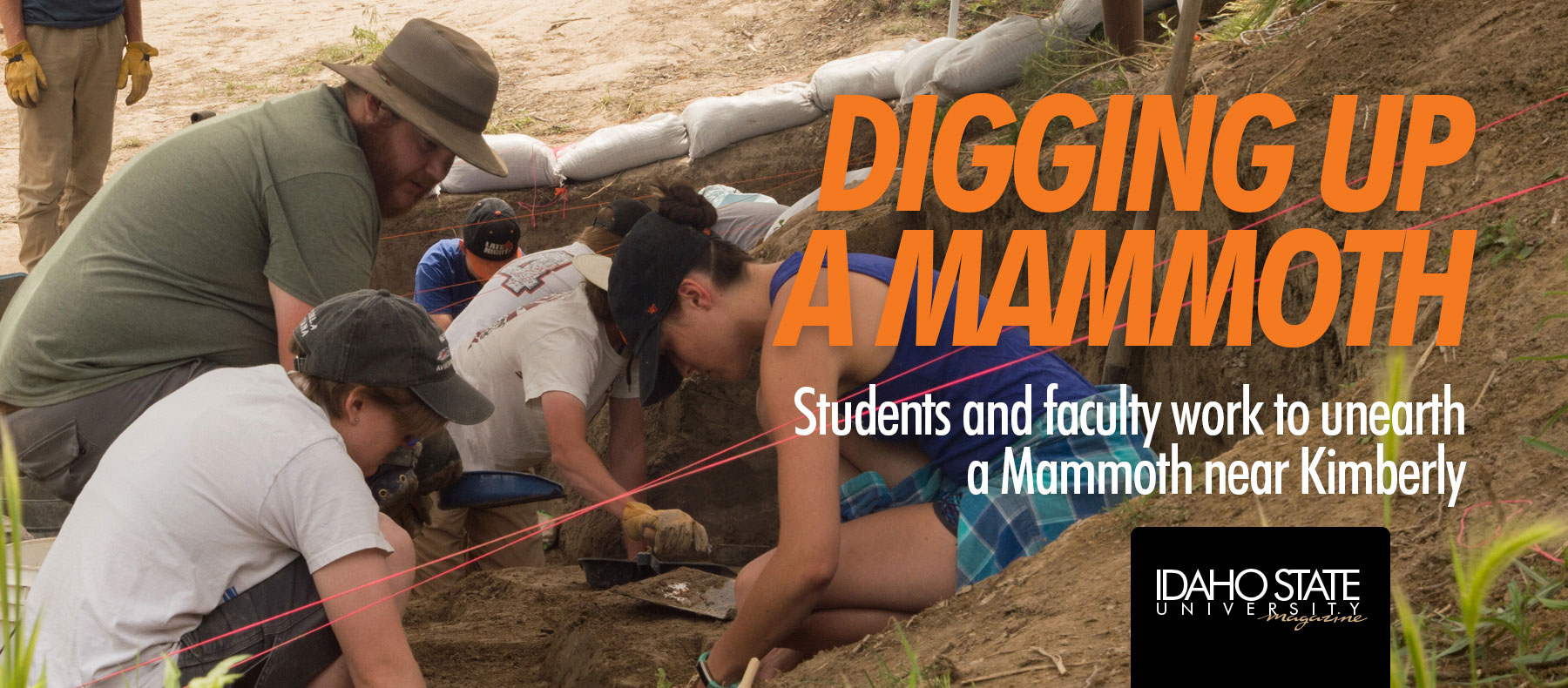 Digging up a mammoth. Students and faculty work to unearth a mammoth near Kimberly.